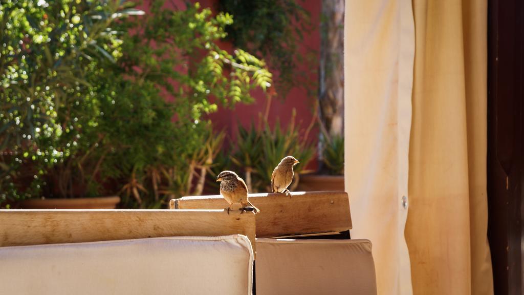Riad Honey Marrakesh Exterior photo